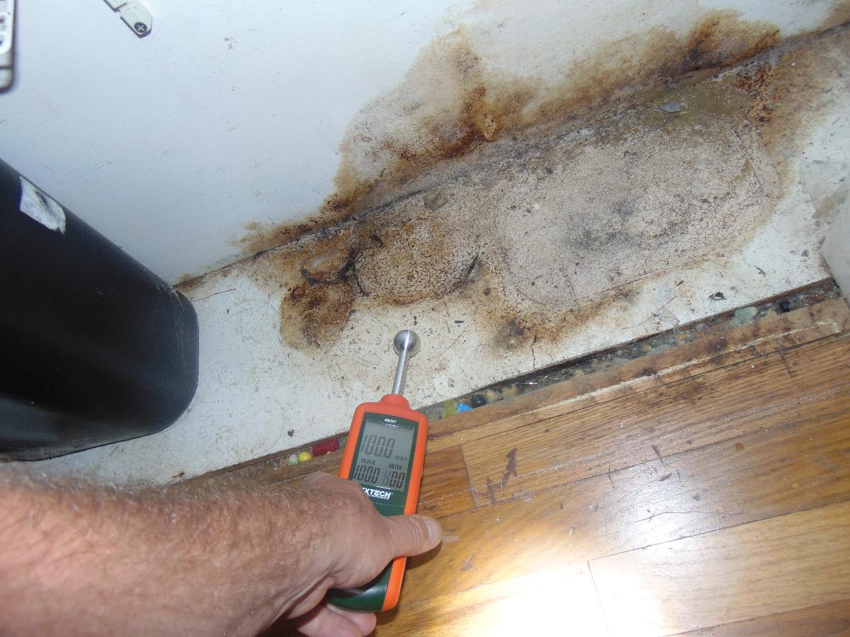 Protect Your Home From Mold | RI Resotarion | 24 Hour Emergency Services