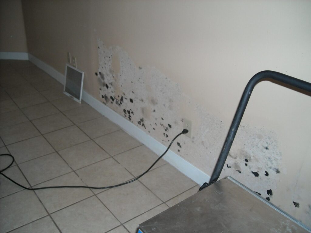 mold damage emergency restoration company in ri