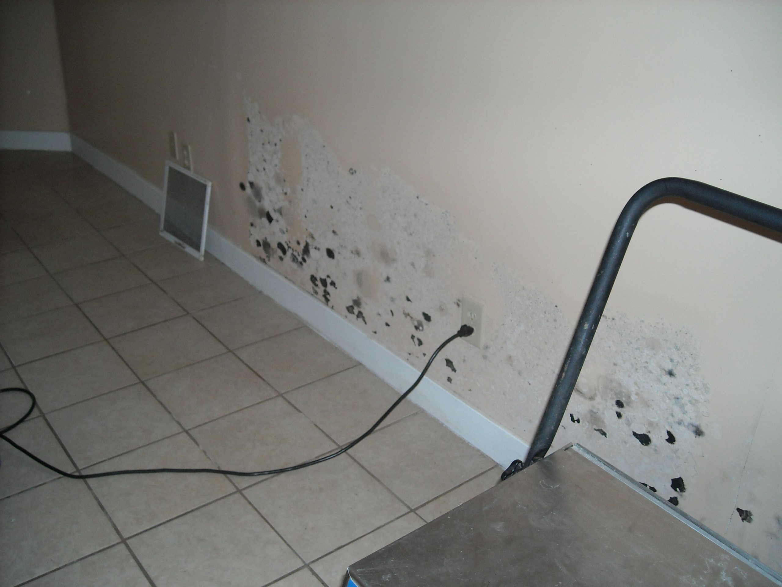 mold damage emergency restoration company in ri