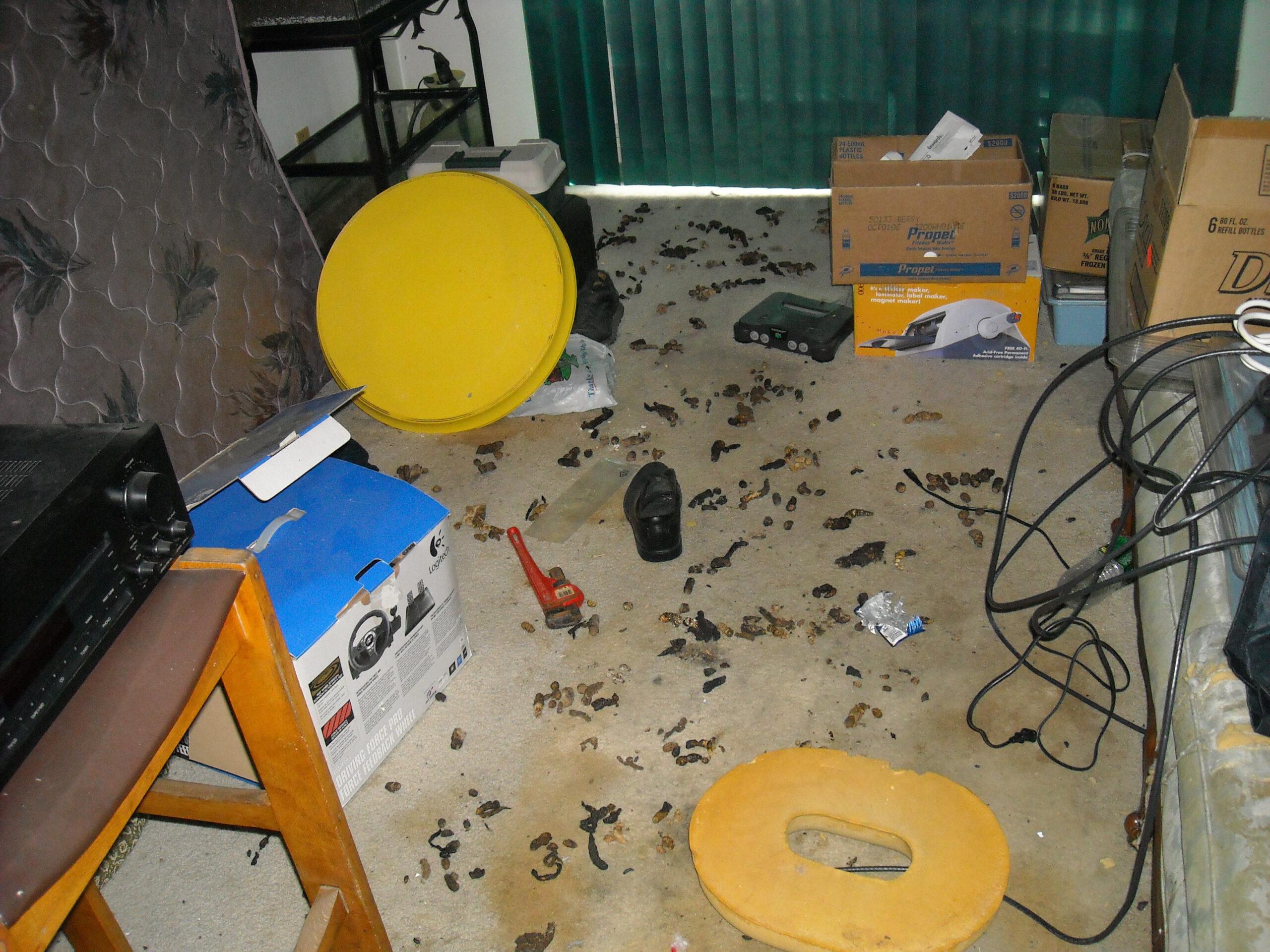 animal waste cleanup ri