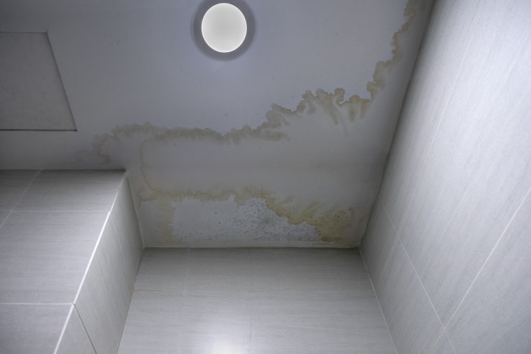 your roof is leaking and now there are mildew stains - what now?