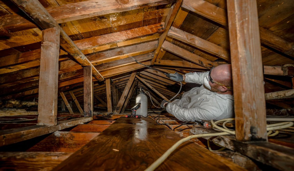 Mold Remediation Rhode Island