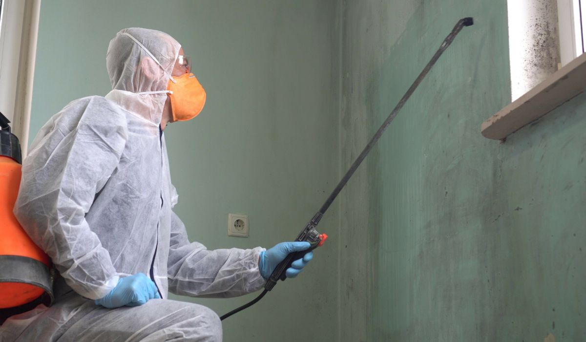 Mold Remediation Rhode Island