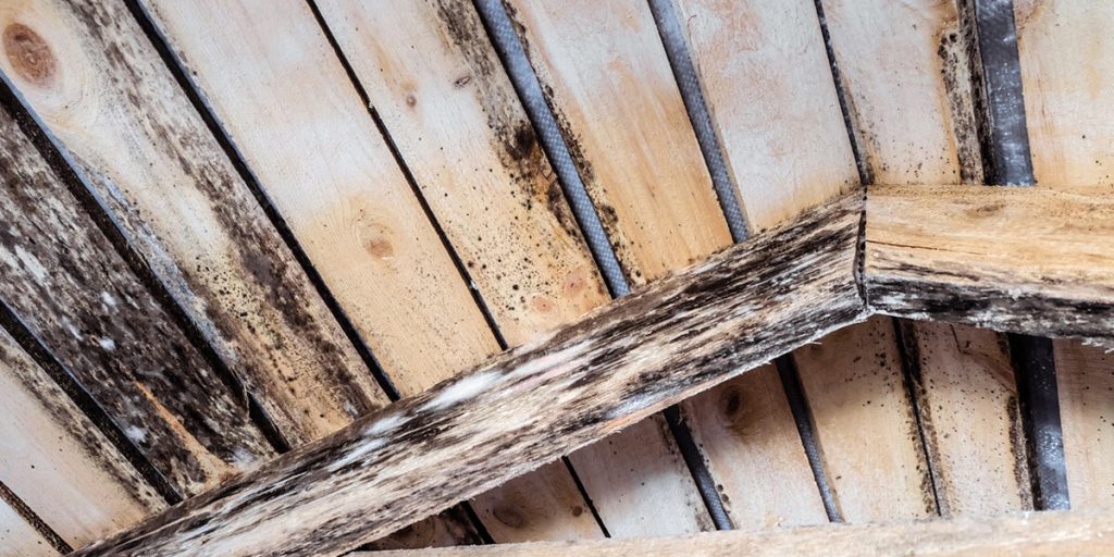 restore your homes health with rhode island restoration