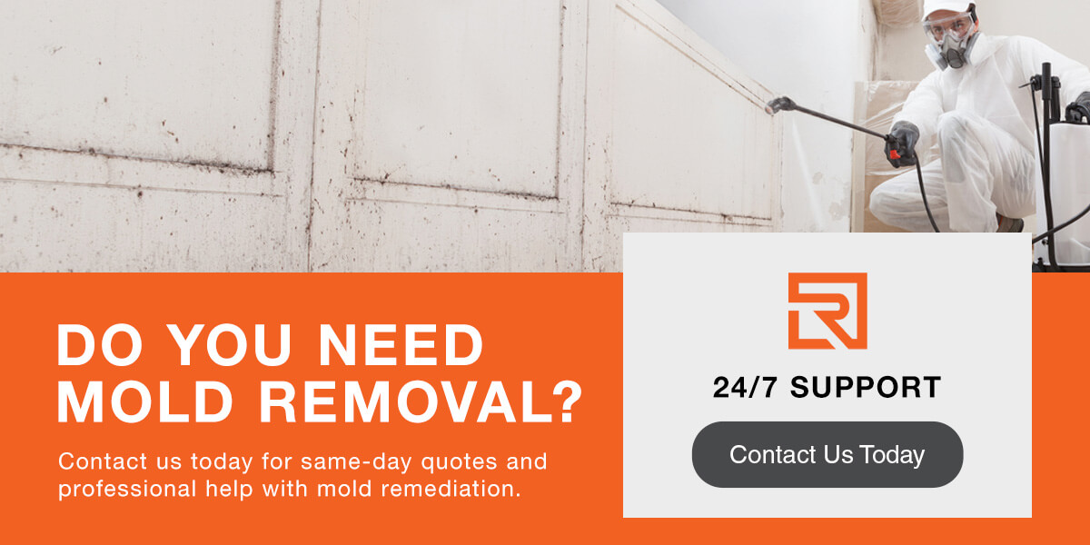 CTA why attics and crawl spaces are breeding grounds for mold