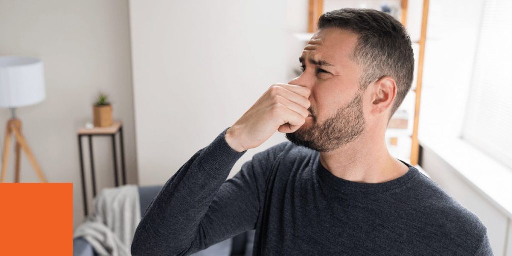 dealing with an unpleasant odor