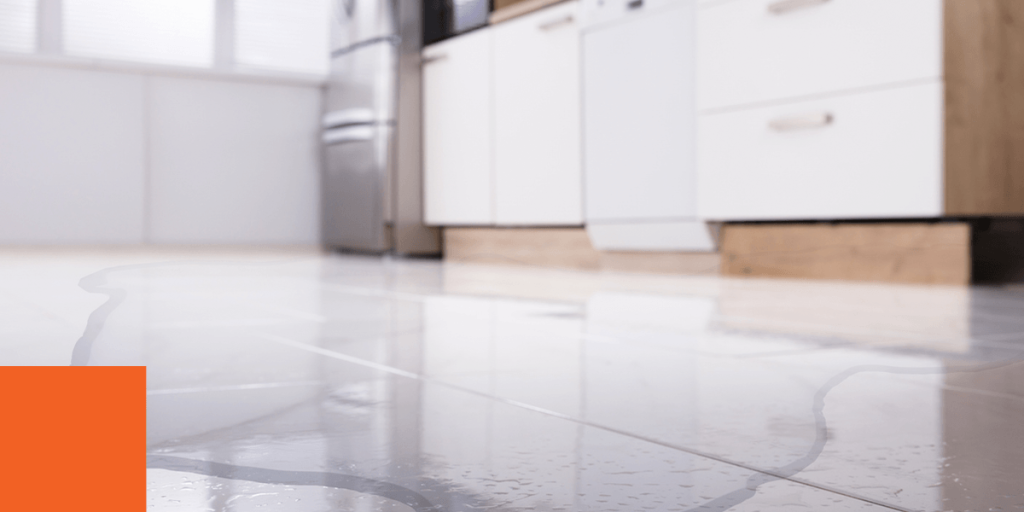 hidden leaks from ice maker