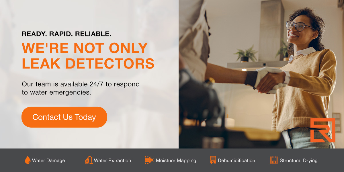 CTA contact rhode island restoration for a professional assessment CTA contact rhode island restoration for a professional assessment