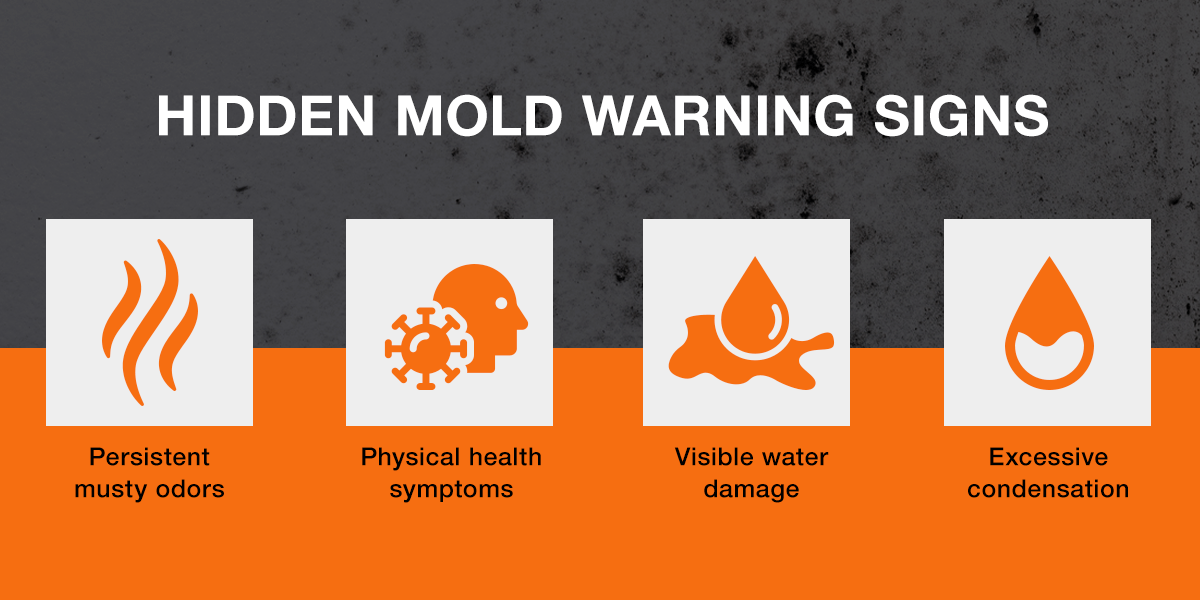 Hidden Mold Warning Signs Hidden Mold Warning Signs
