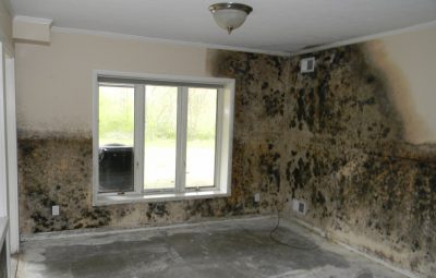 mold damage restoration ri